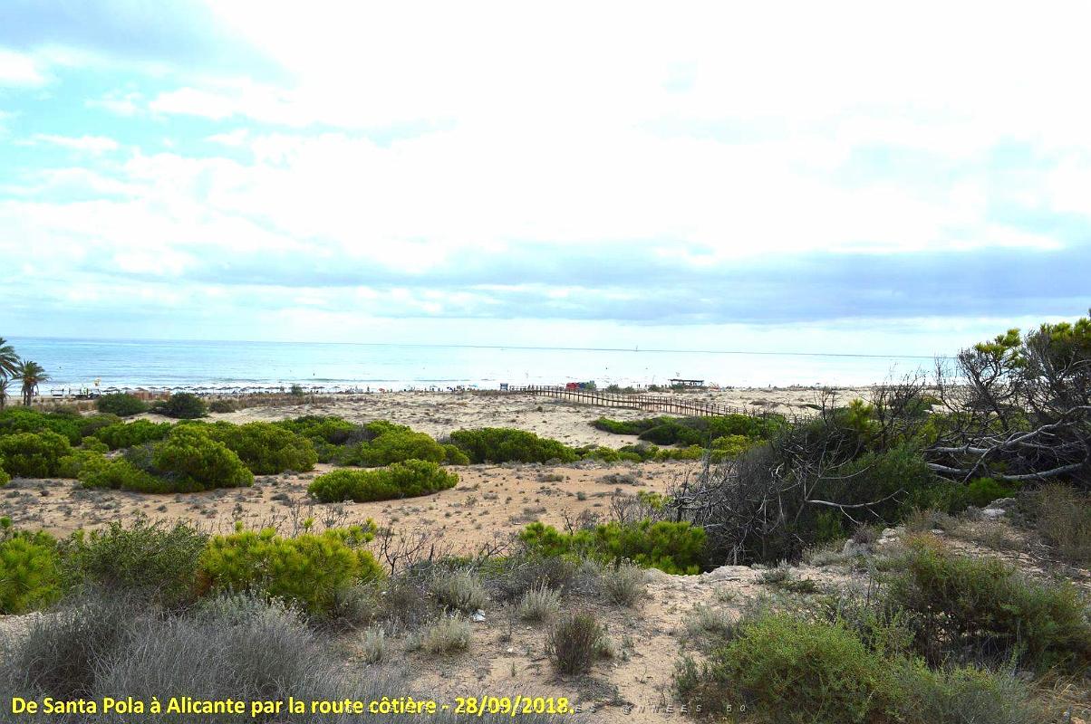 29 DE SANTA POLA A ALICANTE (57).JPG